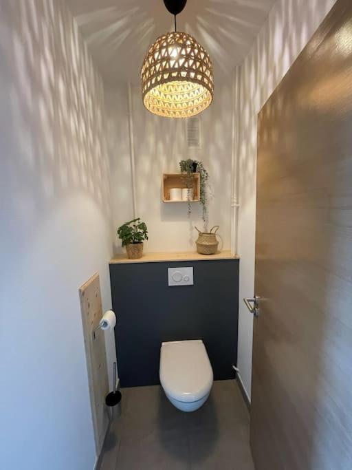 Studio Cosy Et Lumineux Bike Parking Saverne Exteriör bild